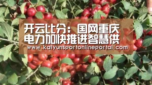 开云比分:国网重庆电力加快推进智慧供应链建设(图1) KAIYUN首页
