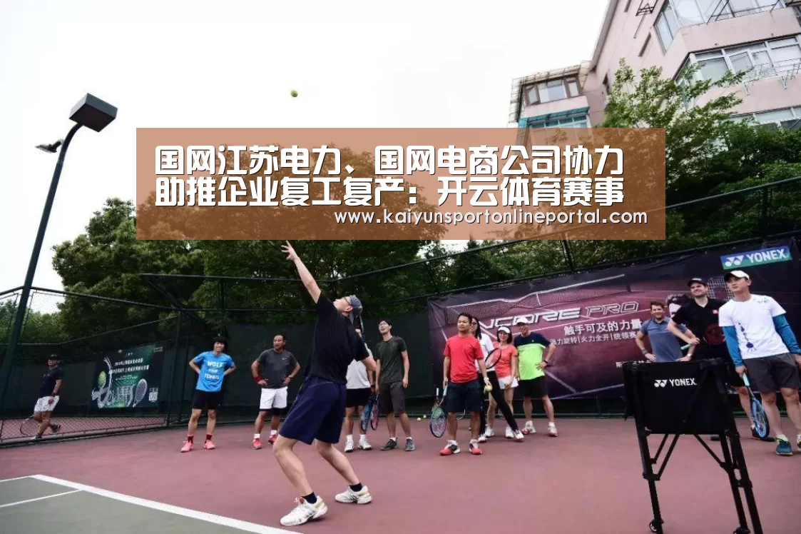 国网江苏电力、国网电商公司协力助推企业复工复产:开云体育赛事(图3) 开云比分