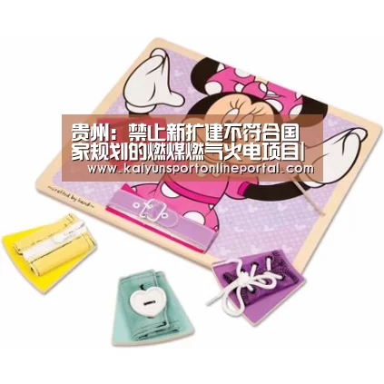 贵州:禁止新扩建不符合国家规划的燃煤燃气火电项目|开云比分(图2) 开云体育赛事