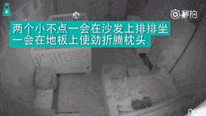 为什么?进口煤强压内贸煤!-开云体育赛事(图4) 开云比分