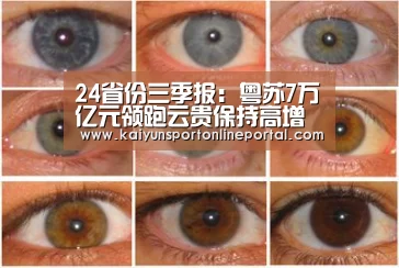 24省份三季报:粤苏7万亿元领跑云贵保持高增长‘KAIYUN首页’(图2) 开云体育赛事