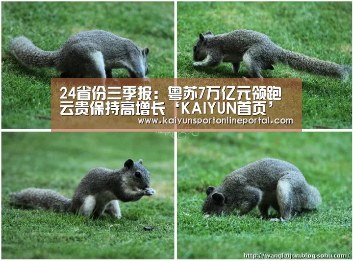 24省份三季报:粤苏7万亿元领跑云贵保持高增长‘KAIYUN首页’(图4) 开云体育赛事官网