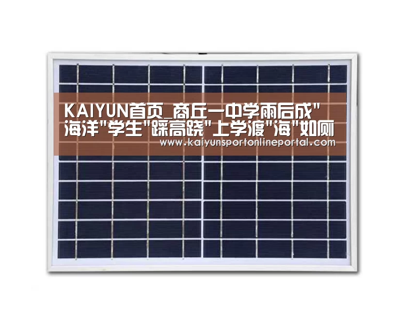 KAIYUN首页_商丘一中学雨后成海洋学生踩高跷上学渡海如厕(图2) 开云体育赛事