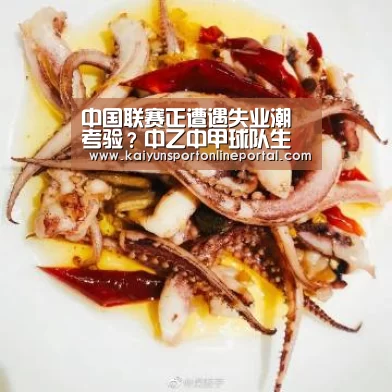 中国联赛正遭遇失业潮考验?中乙中甲球队生存状况不容乐观‘KAIYUN首页’(图1) 开云比分