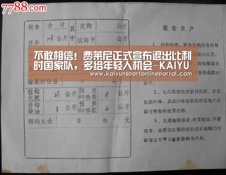 不敢相信!费莱尼正式宣布退出比利时国家队,多给年轻人机会-KAIYUN首页(图1) KAIYUN首页