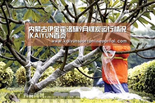 内蒙古伊金霍洛旗9月煤炭运行情况|KAIYUN首页(图2) 开云体育赛事