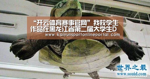 “开云体育赛事官网”我校学生作品在黑龙江省第二届大学生DV作品暨摄影作品大赛获奖(图1) 开云比分