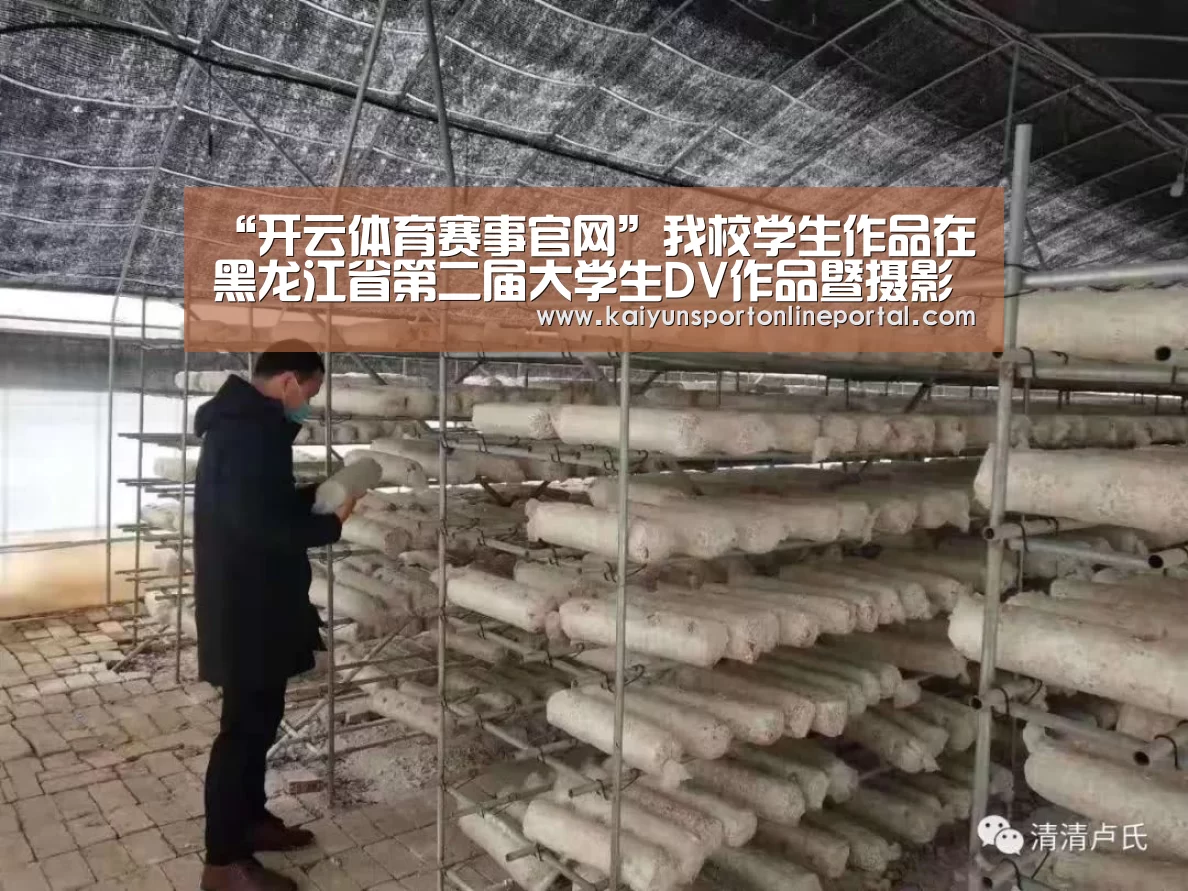 “开云体育赛事官网”我校学生作品在黑龙江省第二届大学生DV作品暨摄影作品大赛获奖(图4) 开云体育赛事官网