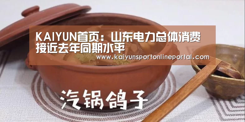 KAIYUN首页:山东电力总体消费接近去年同期水平(图3) 开云比分