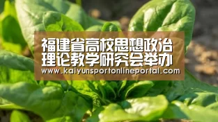 福建省高校思想政治理论教学研究会举办年会【开云比分】(图1) 开云体育赛事