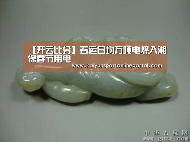 【开云比分】春运日均万吨电煤入湘保春节用电(图1) KAIYUN首页