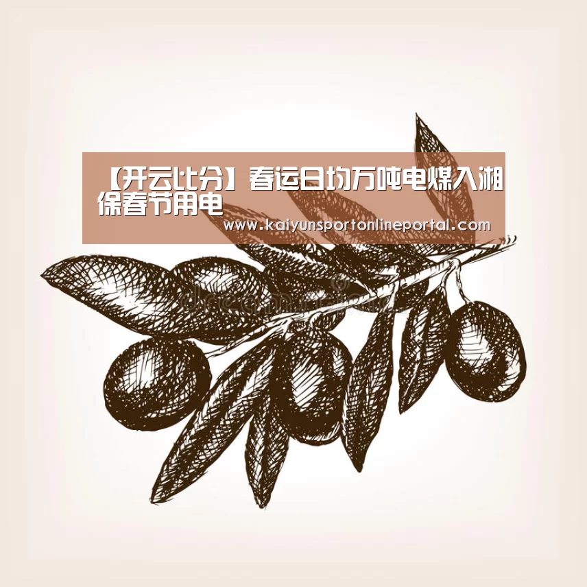 【开云比分】春运日均万吨电煤入湘保春节用电(图3) KAIYUN首页