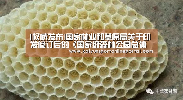 开云体育赛事