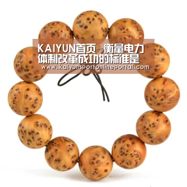 KAIYUN首页-衡量电力体制改革成功的标准是什么(图2) 开云比分