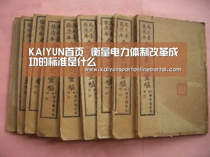 KAIYUN首页-衡量电力体制改革成功的标准是什么(图4) 开云比分