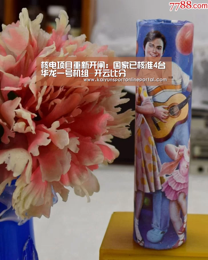 核电项目重新开闸:国家已核准4台华龙一号机组-开云比分(图1) 开云体育赛事官网